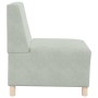 Unidad de Sofá Modular sin Brazos 2 pcs Gris claro