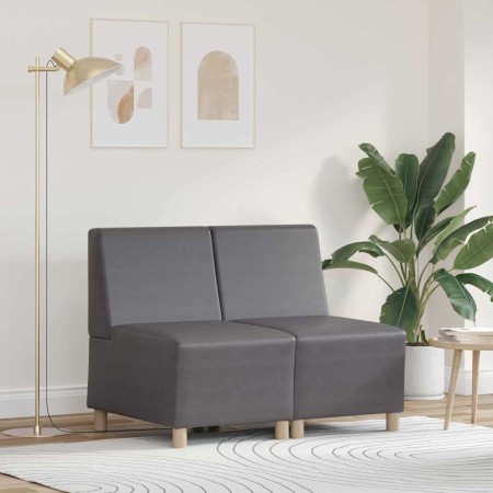 Unidad de Sofá Modular sin Brazos 2 pcs Gris 55 x 74 x 82 cm