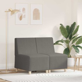Unidad de Sofá Modular sin Brazos 2 pcs Gris claro