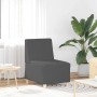 Unidad de Sofá Modular sin Brazos 2 pcs Gris oscuro