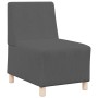 Unidad de Sofá Modular sin Brazos 2 pcs Gris oscuro