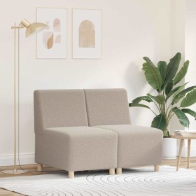 Unidad de Sofá Modular sin Brazos 2 pcs Gris claro