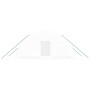 Invernadero con estructura de acero blanco 12 m² 6x2x2,85 m