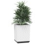 Jardineras 4 unidades polipropileno blanco 30x30x37 cm en Maceteros y jardineras | Comprar online en Foro24