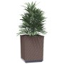 Jardineras 4 unidades polipropileno marrón 30x30x37 cm en Maceteros y jardineras | Comprar online en Foro24