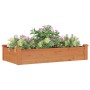 Jardinera arriate forro madera maciza abeto marrón 120x60x25 cm en Maceteros y jardineras | Comprar online en Foro24
