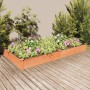 Jardinera arriate con forro madera abeto marrón 240x120x25 cm en Maceteros y jardineras | Comprar online en Foro24