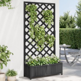Jardinera con enrejado madera maciza de abeto negro Jardinera con enrejado madera maciza de abeto negro