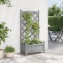 Jardinera con enrejado madera maciza de abeto gris en Maceteros y jardineras | Comprar online en Foro24