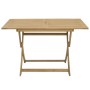 Mesa de jardín plegable madera maciza de acacia 120x70x75 cm