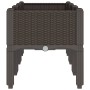 Jardinera con patas PP marrón 120x40x42 cm en Maceteros y jardineras | Comprar online en Foro24