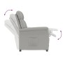 Sillón Recliner Gris Claro Gris claro 70.5 x 96.5 x 95 cm tela