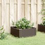 Jardinera con clavijas PP marrón 42,5x42,5x28,5 cm en Maceteros y jardineras | Comprar online en Foro24