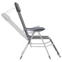 Klappbare Campingstühle mit Fußstütze 2 Stück Textilene grau von vidaXL, Gartenstühle - Ref: Foro24-360145, Preis: 169,38 €, ...
