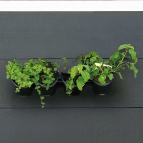 Nature Jardín vertical / Kit para hierbas y flores