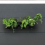 Nature Vertical Garden / Kit for herbs and flowers by Nature, Pots and planters - Ref: Foro24-434648, Price: 27,33 €, Discoun...