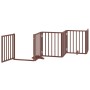Puerta para perros plegable 6 paneles madera álamo marrón 300cm