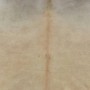 Authentic beige cowhide rug 150x170 cm by vidaXL, Rugs - Ref: Foro24-284345, Price: 207,91 €, Discount: %