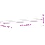 Estante de pared madera maciza de haya 100x20x1,5 cm