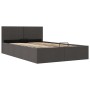 Cama canapé hidráulica de almacenaje sin colchón gris 140x200cm