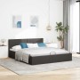 Cama canapé hidráulica de almacenaje sin colchón gris 160x200cm