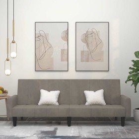 Sofá cama de 2 plazas terciopelo gris claro Sofá cama de 2 plazas terciopelo gris claro