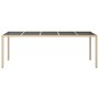 Mesa de comedor de jardín Beige 250 x 100 x 75 cm Poliratán