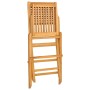 Sillas de jardín plegables 2 uds madera maciza teca 47x62x90cm