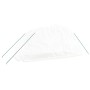 Invernadero con estructura de acero blanco 10 m² 5x2x2,3 m