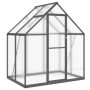 Invernadero con marco base aluminio antracita 169x114x195 cm