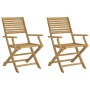 Sillas de jardín plegables 2 uds madera acacia 54,5x61,5x86,5cm