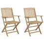 Sillas de jardín plegables 2 uds madera acacia 58x54,5x90 cm