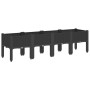 Jardinera con patas PP negro 160x40x42 cm