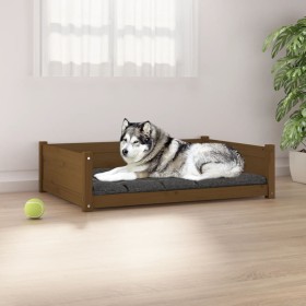 Cama para perros madera de pino marrón miel 105,5x75,5x28 cm