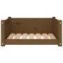Hundebett aus massivem Kiefernholz, honigbraun, 65,5 x 50,5 x 28 cm von vidaXL, Betten für Hunde - Ref: Foro24-821450, Preis:...