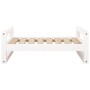 Hundebett aus massivem weißem Kiefernholz, 75,5 x 55,5 x 28 cm von vidaXL, Betten für Hunde - Ref: Foro24-821478, Preis: 57,7...