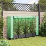 Jardinera elevada con cubierta de invernadero aspecto ratán 160x40x123 cm en Maceteros y jardineras | Comprar online en Foro24