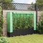 Jardinera elevada con cubierta de invernadero aspecto ratán 160x40x138 cm en Maceteros y jardineras | Comprar online en Foro24