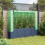 Jardinera elevada con cubierta de invernadero aspecto ratán 160x40x153 cm en Maceteros y jardineras | Comprar online en Foro24
