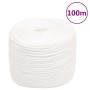 Cuerda de barco polipropileno blanco intenso 10 mm 100 m de vidaXL, Sogas y cuerdas metálicas - Ref: Foro24-152561, Precio: 3...
