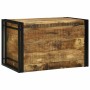Caja de Almacenamiento con almacenamiento 80 x 50 x 50 cm