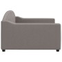 Taupegraues Schlafsofa aus Stoff, 100 x 200 cm von vidaXL, Betten und Lattenroste - Ref: Foro24-354191, Preis: 200,96 €, Raba...