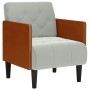 Sillón con reposabrazos Terciopelo Gris Claro 55 cm