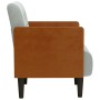 Sillón con reposabrazos Terciopelo Gris Claro 55 cm