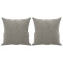 Cojines decorativos 2 uds terciopelo gris claro 40x40 cm de vidaXL, Cojines - Ref: Foro24-349485, Precio: 15,49 €, Descuento: %
