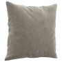 Cojines decorativos 2 uds terciopelo gris claro 40x40 cm de vidaXL, Cojines - Ref: Foro24-349485, Precio: 15,49 €, Descuento: %
