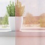 Cortinas de gasa con ojales 2 uds rosa claro 140x175 cm