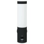 Aplique de exterior Negro 12 x 7.5 x 29 cm Acero inoxidable