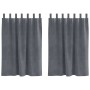 Cortinas con cortinas 2 pcs Gris claro 140 x 140 cm Terciopelo