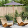 Parasol de jardín Gris oscuro 217 x 217 x 230 cm Bambú